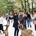 DSC01313.JPG