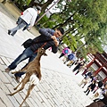 DSC01317.JPG