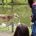 DSC01318.JPG