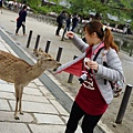 DSC01328.JPG