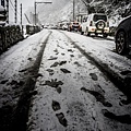 DSC09130-nof.jpg