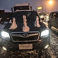 DSC09127-nof.jpg