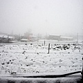 DSC09134-nof.jpg