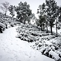 DSC09153-nof.jpg