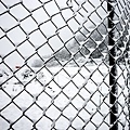 DSC09206-nof.jpg