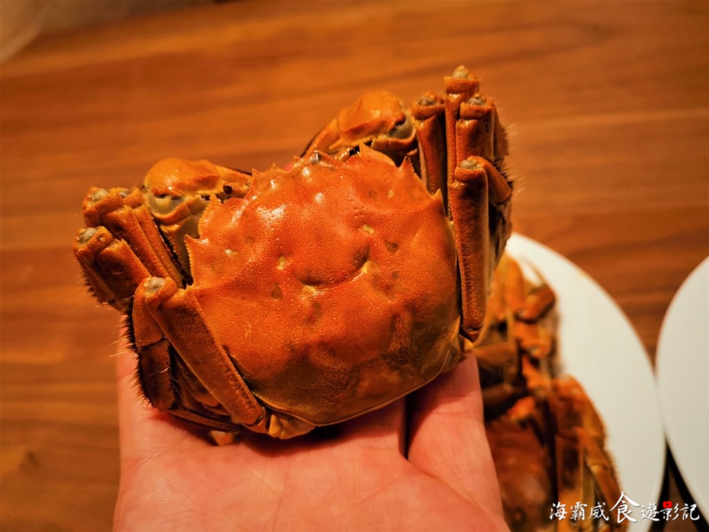 太霸氣 全台唯一大閘蟹吃到飽 桃園喜來登飯店優廚西餐廳 肥美大閘蟹一口價讓你爽爽吃 海霸威食遊影記