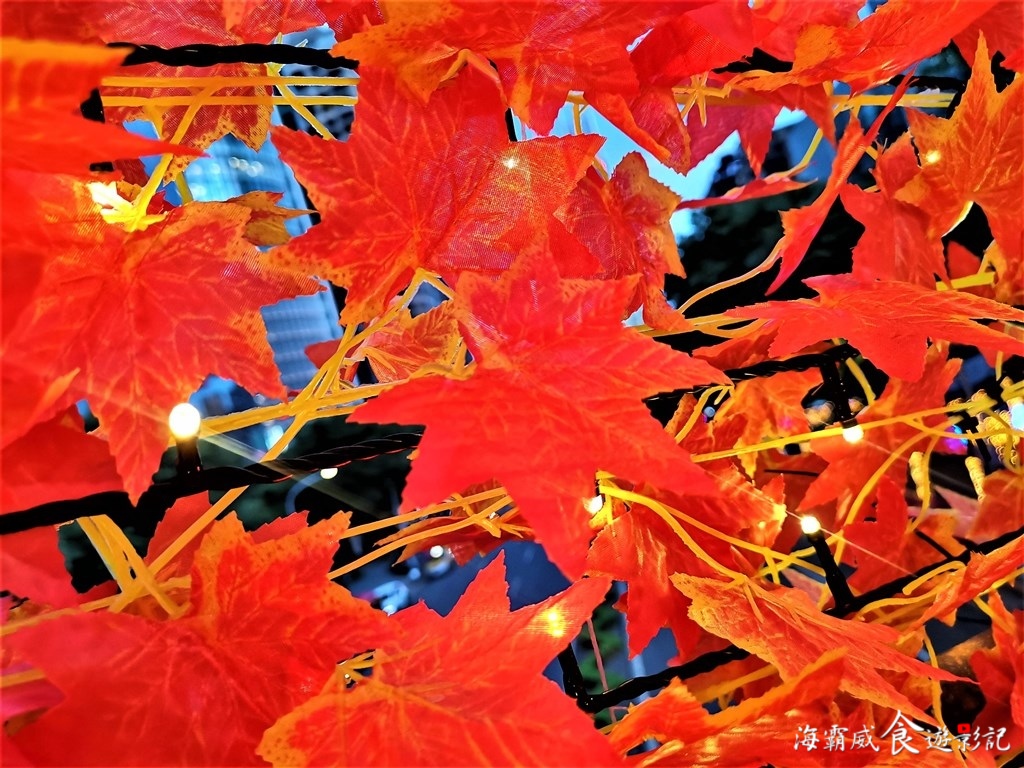 男朋友必看!3條捷運路線 帶女友 浪漫暢遊新北歡樂耶誕城 男朋友必看!3條捷運路線 帶女友 浪漫暢遊新北歡樂耶誕城