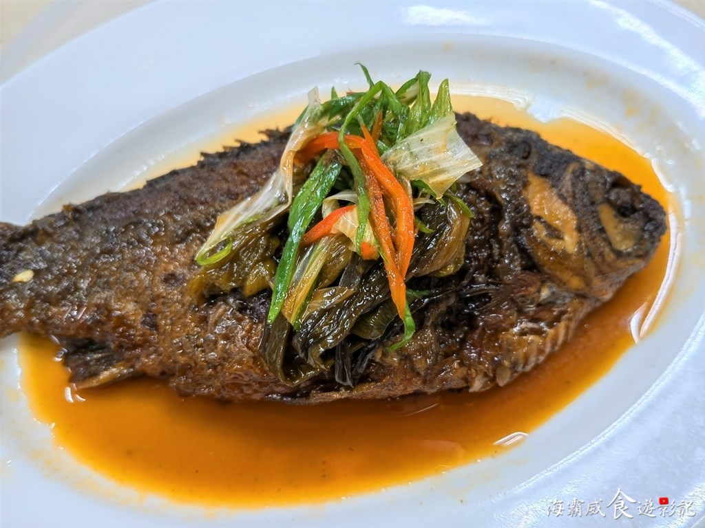 IMG_20220103_160016.jpg IMG_20220103_160016.jpg