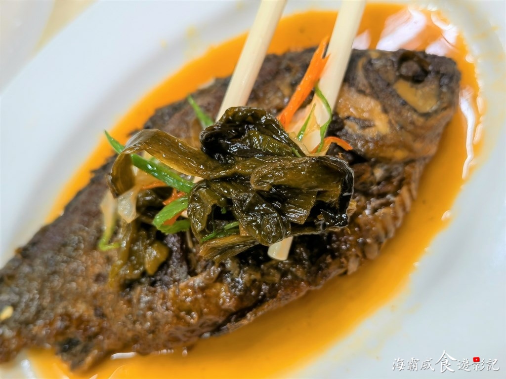 IMG_20220103_160051.jpg IMG_20220103_160051.jpg