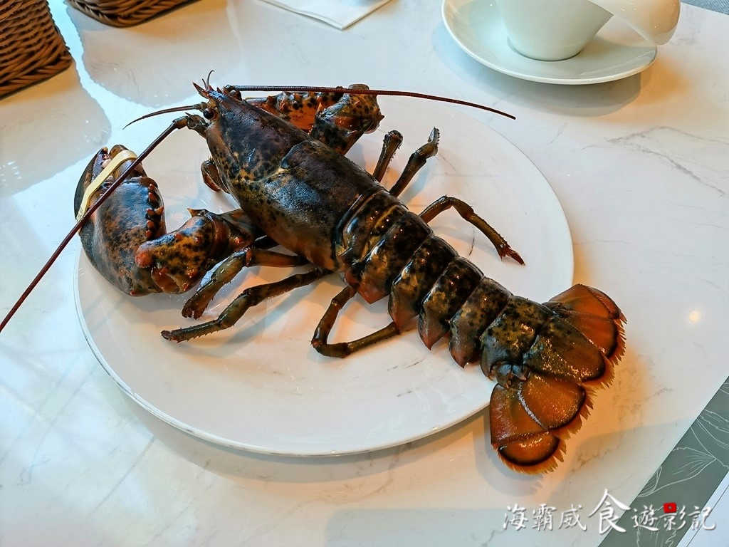 IMG_20220916_115055.jpg IMG_20220916_115055.jpg