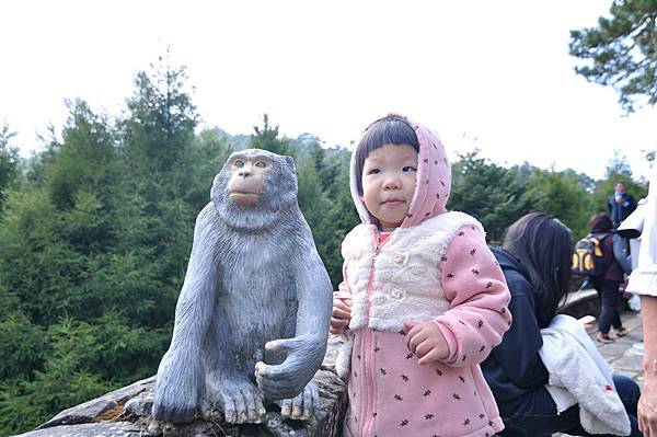 塔塔加旅客服務中心