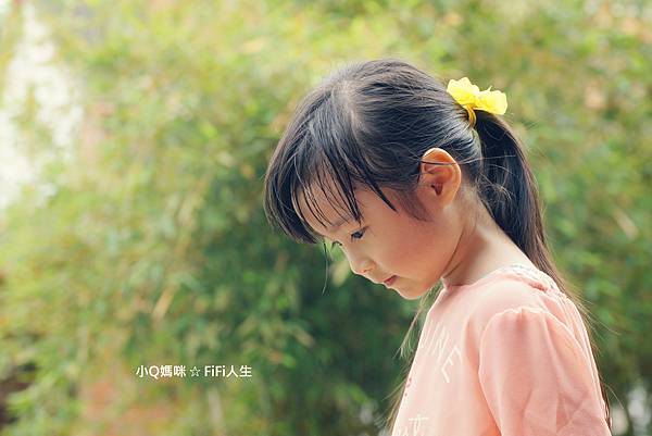 DSC07065_meitu_1.jpg DSC07065_meitu_1.jpg