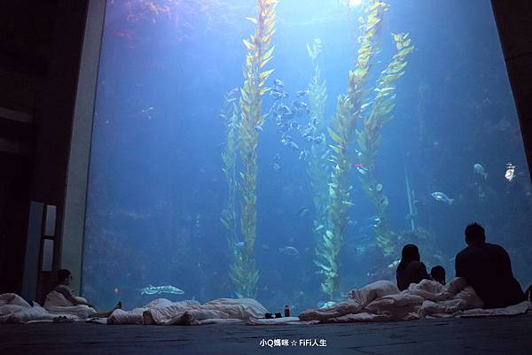 夜宿海生館63.jpg