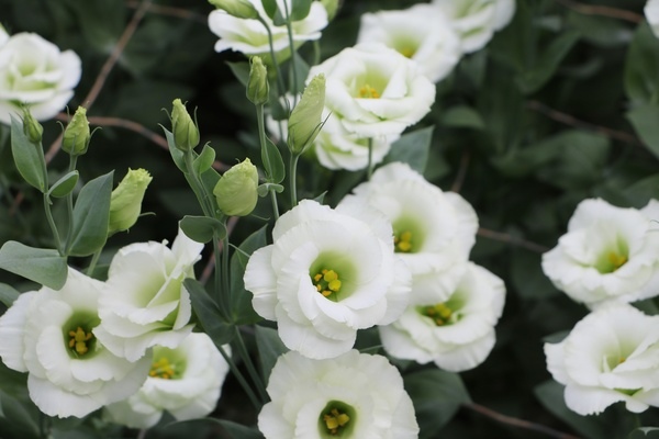 157e132d7a1ef3.jpg 157e132d7a1ef3.jpg