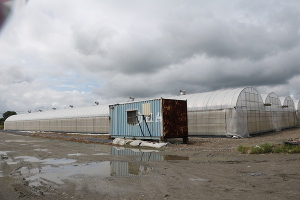 157e1360904460.jpg 157e1360904460.jpg