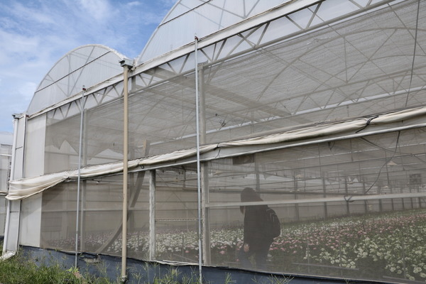 157e1362904485.jpg 157e1362904485.jpg