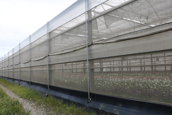 157e136ccab328.jpg 157e136ccab328.jpg