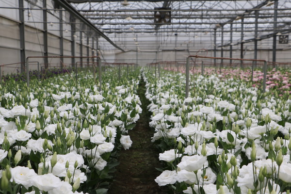 157e1349a72024.jpg 157e1349a72024.jpg