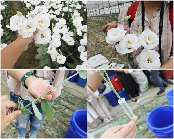 157e13439b78c5.jpg 157e13439b78c5.jpg