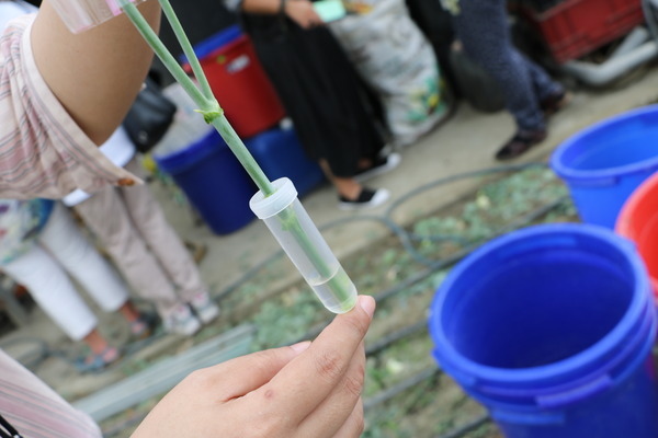 157e135e79acb0.jpg 157e135e79acb0.jpg