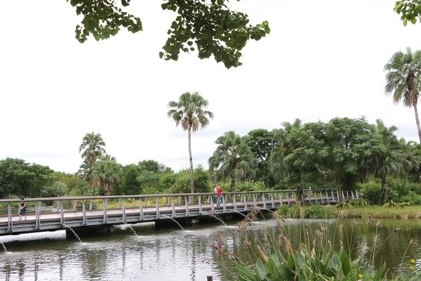 157eb960225b6c.jpg 157eb960225b6c.jpg