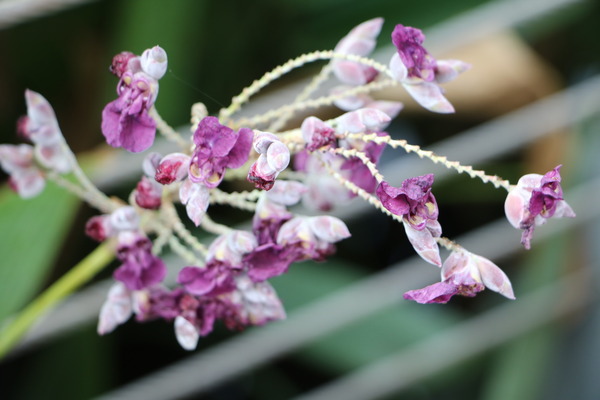 157e13ac28bcb3.jpg 157e13ac28bcb3.jpg