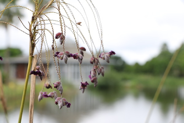 157e13aa51aa3b.jpg 157e13aa51aa3b.jpg