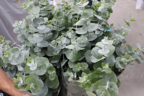 157e132148f389.jpg 157e132148f389.jpg