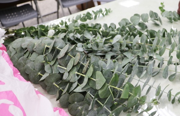 157f5b0f986f0b.jpg 157f5b0f986f0b.jpg