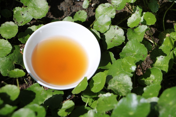 158147b92a2de2.jpg 158147b92a2de2.jpg