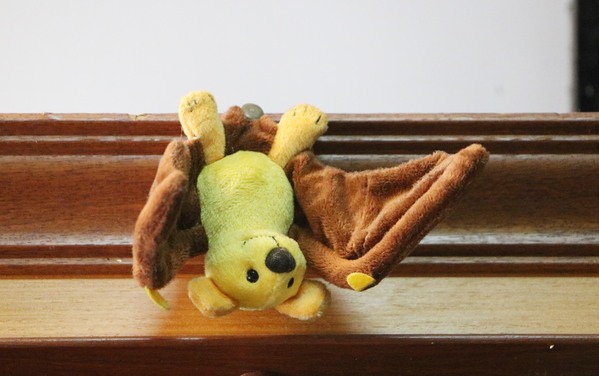 1581e18454b700.jpg 1581e18454b700.jpg