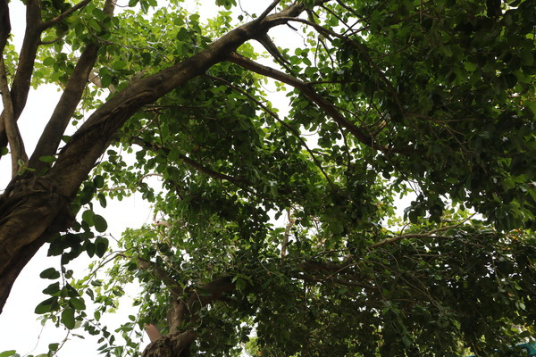 15815b1e320c8f.jpg 15815b1e320c8f.jpg