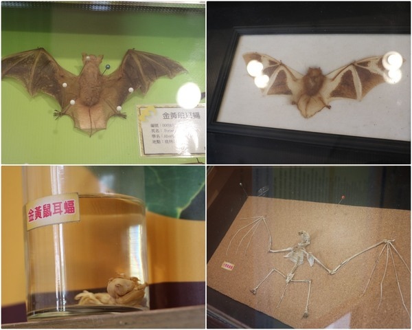 1581cea44dcd21.jpg 1581cea44dcd21.jpg