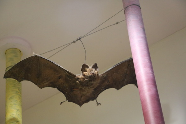 15815a9773a90a.jpg 15815a9773a90a.jpg