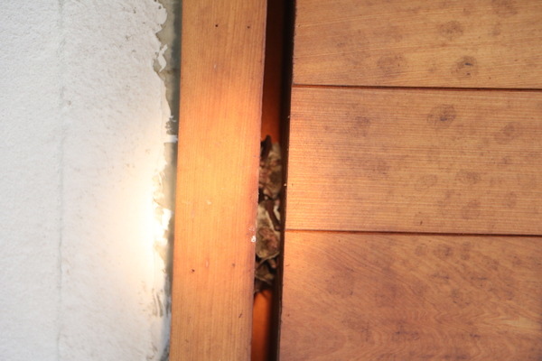 15815ab297e61f.jpg 15815ab297e61f.jpg