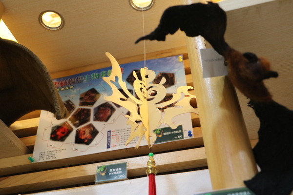 15815a7c6626f2.jpg 15815a7c6626f2.jpg