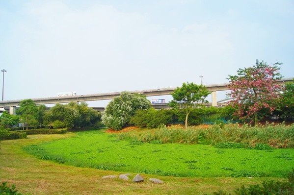 154f43a0df193e.jpg 154f43a0df193e.jpg