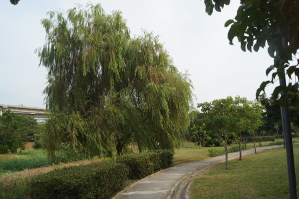 154f43a256b983.jpg 154f43a256b983.jpg