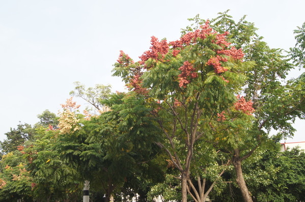 154f43bc234b6e.jpg 154f43bc234b6e.jpg