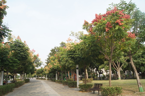 154f43bdb0fb06.jpg 154f43bdb0fb06.jpg