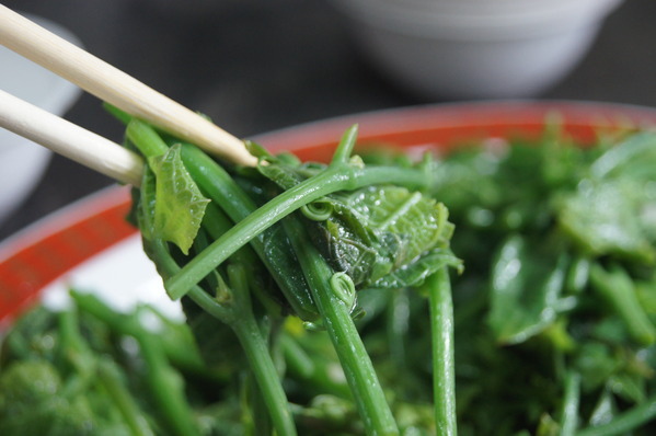 cgm5bb72a2b60514bf1de2232552661a0f0975.jpg cgm5bb72a2b60514bf1de2232552661a0f0975.jpg