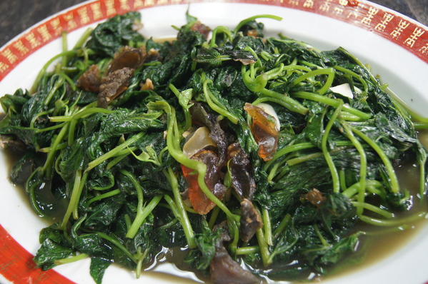 cgm42125b2e1ee94fc73442f9a9d988d075599.jpg cgm42125b2e1ee94fc73442f9a9d988d075599.jpg