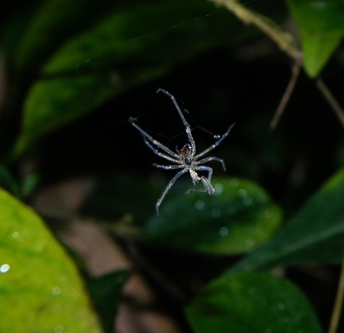 cgm5ce4960593da2b9a476d92accdc1d300319.jpg cgm5ce4960593da2b9a476d92accdc1d300319.jpg