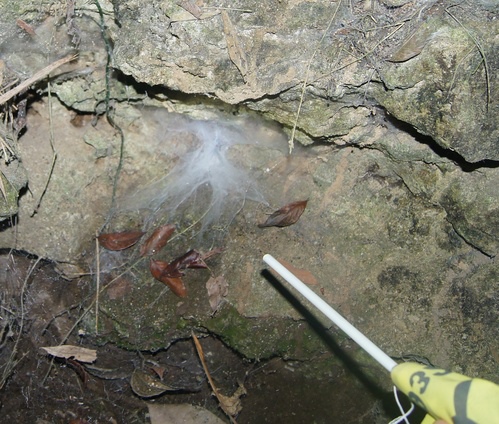 cgm30e0a19e8c929861115673b9f28fcea5424.jpg cgm30e0a19e8c929861115673b9f28fcea5424.jpg