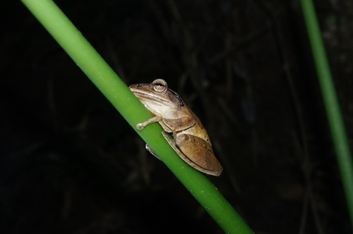 cgmdd31a328437391a622eea16e0a8f6920232.jpg cgmdd31a328437391a622eea16e0a8f6920232.jpg