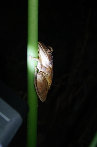 cgmfa9a9a52b685f0355508a7bd8d4480f0977.jpg cgmfa9a9a52b685f0355508a7bd8d4480f0977.jpg