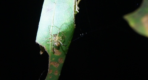 cgmf99c19eabde602484167fdf3f975b9e9223.jpg cgmf99c19eabde602484167fdf3f975b9e9223.jpg