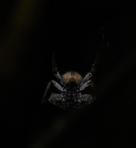 cgm27103805d7188e7aa76e9e692d270e82135.jpg cgm27103805d7188e7aa76e9e692d270e82135.jpg