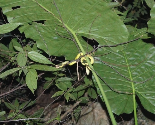 cgm9cd9f2525c438aca30cc3ec874373265839.jpg cgm9cd9f2525c438aca30cc3ec874373265839.jpg