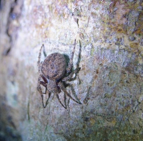 cgmbdb371c2e9c655125b4306a2f82d9a3e880.jpg cgmbdb371c2e9c655125b4306a2f82d9a3e880.jpg